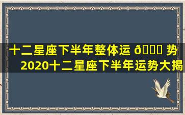 十二星座下半年整体运 🐞 势（2020十二星座下半年运势大揭秘 🐦 (上)）